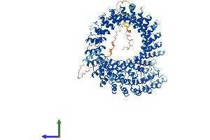AlphaFold protein structure predicition of Mouse Recombinant Ankrd28 Protein, UniprotID Q505D1 (ANKRD28 Protein (AA 1-1053) (His tag))