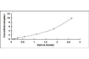 Typical standard curve (IKBKG ELISA Kit)