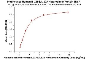 Immobilized Biotinylated Human IL-12B&IL-12A Heterodimer Protein, His,Avitag&Flag Tag (ABIN6973104) at 1 μg/mL (100 μL/well)on streptavidin precoated (0. (IL12 Protein (AA 23-328) (His tag,AVI tag,DYKDDDDK Tag,Biotin))