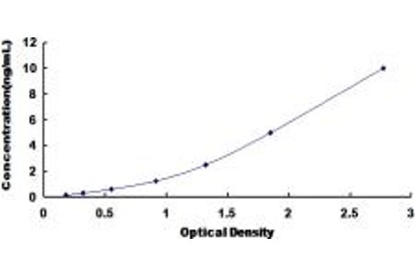 PAX6 ELISA Kit