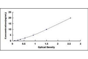 Typical standard curve (MMP7 ELISA Kit)