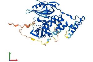 AlphaFold protein structure predicition of Mouse Recombinant Crbn Protein, UniprotID Q8C7D2 (CRBN Protein (AA 1-445) (His tag))