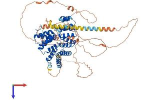 AlphaFold protein structure predicition of Human Recombinant PEX5L Protein, UniprotID Q8IYB4 (Peroxisomal Biogenesis Factor 5-Like (PEX5L) (AA 1-626) protein (His tag))