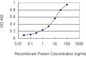 Detection limit for recombinant GST tagged HOXC6 is 0. (Homeobox C6 antibody  (AA 53-142))