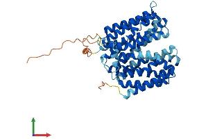 AlphaFold protein structure predicition of Human Recombinant SLC22A18 Protein, UniprotID Q96BI1 (ORCTL-2/SLC22A18 Protein (AA 1-424) (His tag))