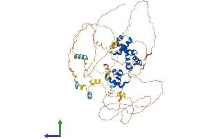 AlphaFold protein structure predicition of Mouse Recombinant Mybl2 Protein, UniprotID P48972