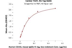 Immobilized Canine TIGIT, His Tag (ABIN6731347,ABIN6809851) at 5 μg/mL (100 μL/well) can bind Human CD155, mouse IgG2a Fc tag, low endotoxin (ABIN4949085,ABIN4949086) with a linear range of 0. (TIGIT Protein (AA 17-208) (His tag))