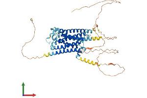 Protein Structure (PS) image for Adrenergic, alpha-1B-, Receptor (ADRA1B) (AA 1-514) protein (His tag) (ABIN7556822)