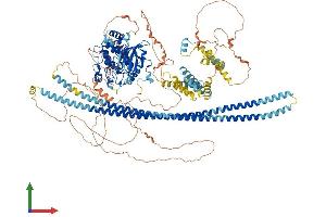 Protein Structure (PS) image for TAO Kinase 2 (TAOK2) (AA 1-1240) protein (His tag) (ABIN7564168)