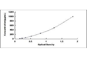 Typical standard curve (IL12B ELISA Kit)