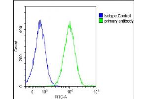 Flow Cytometry (FACS) image for anti-Interleukin 1 alpha (IL1A) (AA 177-206) antibody (ABIN652257)