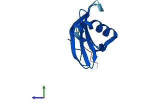 AlphaFold protein structure predicition of Mouse Recombinant Stfa3 Protein, UniprotID P35173 (Stefin A3 Protein (STFA3) (AA 1-103) (His tag))