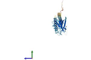 AlphaFold protein structure predicition of Human Recombinant PSMD9 Protein, UniprotID O00233