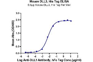 Immobilized Mouse DLL3, His Tag at 5 μg/mL (100 μL/well) on the plate.