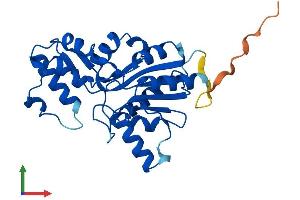 Protein Structure (PS) image for Phosphatase, Orphan 1 (PHOSPHO1) (AA 1-267) protein (His tag) (ABIN7559691)