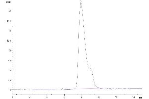 Size-exclusion chromatography-High Pressure Liquid Chromatography (SEC-HPLC) image for AXL Receptor tyrosine Kinase (AXL) (AA 33-442) protein (His tag) (ABIN7273881)