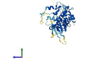 Protein Structure (PS) image for PDZ Binding Kinase (PBK) (AA 1-322) protein (His tag) (ABIN7544543)