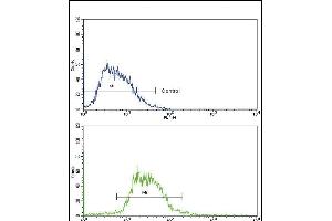 Flow cytometric analysis of HepG2 cells using GCG Antibody (N-term)(bottom histogram) compared to a negative control cell (top histogram). (Glucagon antibody  (N-Term))