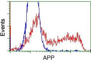 Image no. 2 for anti-Amyloid beta (A4) Precursor Protein (APP) antibody (ABIN1496878) (APP antibody)