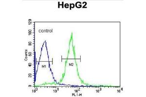AIFM2 Antibody (C-term) flow cytometric analysis of HepG2 cells (right histogram) compared to a negative control cell (left histogram). (AIFM2 antibody  (C-Term))