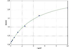Pannexin 1 (PANX1) ELISA Kit