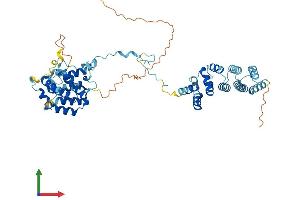 AlphaFold protein structure predicition of Mouse Recombinant Cnot11 Protein, UniprotID Q9CWN7