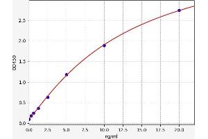 NR1I3 ELISA Kit