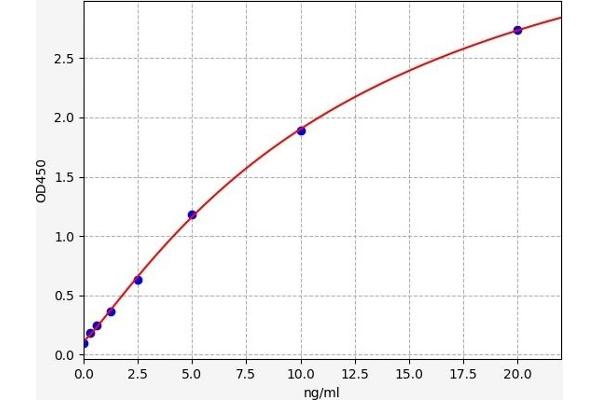 NR1I3 ELISA Kit