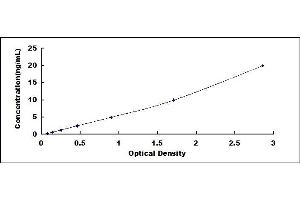 Typical standard curve (TLR4 ELISA Kit)