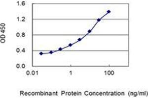 Detection limit for recombinant GST tagged RAB15 is 0. (RAB15 antibody  (AA 99-208))