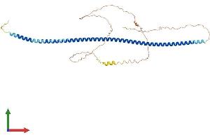 AlphaFold protein structure predicition of Mouse Recombinant Golm1 Protein, UniprotID Q91XA2 (GOLM1 Protein (AA 1-393) (His tag))