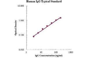 ELISA image for IgG ELISA Kit (ABIN3199222)