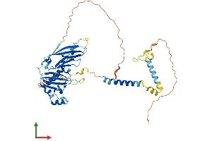 Protein Structure (PS) image for Sarcoglycan, epsilon (SGCE) (AA 1-437) protein (His tag) (ABIN7546164)