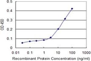 Detection limit for recombinant GST tagged ATG12 is 1 ng/ml as a capture antibody. (ATG12 antibody  (AA 1-140))