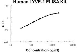 Human LYVE-1 PicoKine ELISA Kit standard curve (LYVE1 ELISA Kit)