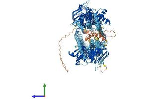 Protein Structure (PS) image for ATP-Binding Cassette, Sub-Family B (MDR/TAP), Member 4 (ABCB4) (AA 1-1286) protein (His tag) (ABIN7554556)