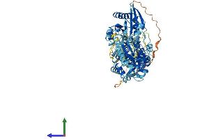 AlphaFold protein structure predicition of Human Recombinant GIMAP8 Protein, UniprotID Q8ND71