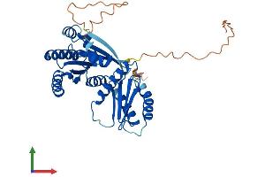AlphaFold protein structure predicition of Human Recombinant RRAGB Protein, UniprotID Q5VZM2 (RRAGB Protein (AA 1-374) (His tag))