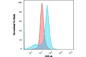 Flow Cytometric Analysis of U87MG cells using CD73 Mouse Monoclonal Antibody (NT5E/2545) followed by goat anti-Mouse IgG-CF488 (Blue); Isotype Control (Red). (CD73 antibody)