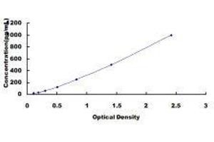 ELISA image for Platelet/endothelial Cell Adhesion Molecule (PECAM1) ELISA Kit (ABIN424358)