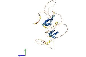AlphaFold protein structure predicition of Human Recombinant PKNOX2 Protein, UniprotID Q96KN3 (PKNOX2 Protein (AA 1-472) (His tag))