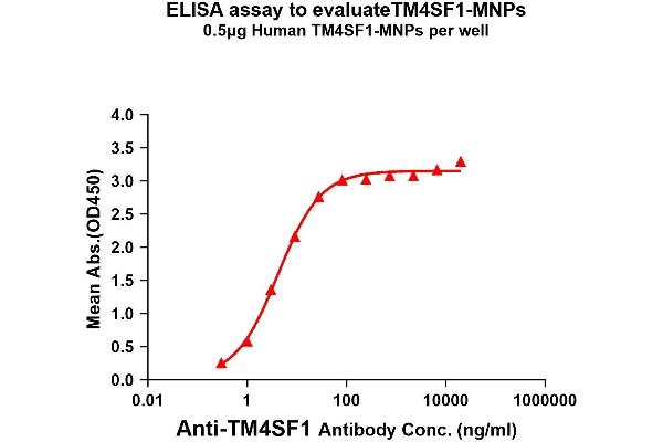 TM4SF1 Protein