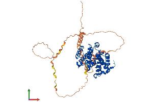 Protein Structure (PS) image for Cyclin A2 (CCNA2) (AA 1-432) protein (His tag) (ABIN7553260)