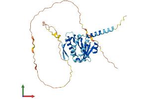 AlphaFold protein structure predicition of Mouse Recombinant Bnip2 Protein, UniprotID O54940