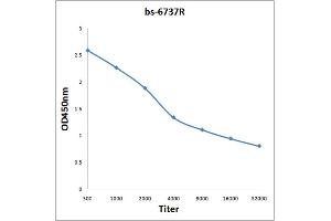 ARMC10 antibody  (AA 131-240)