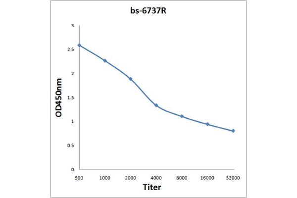 ARMC10 antibody  (AA 131-240)