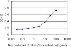 Detection limit for recombinant GST tagged GRHL3 is approximately 0. (GRHL3 antibody  (AA 101-200))