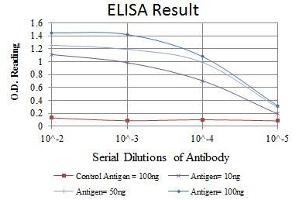 Red: Control Antigen (100 ng), Purple: Antigen (10 ng), Green: Antigen (50 ng), Blue: Antigen (100 ng), (MSI2 antibody)