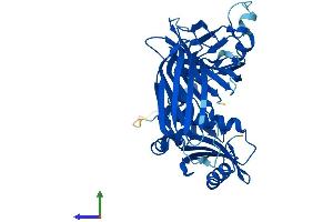 Protein Structure (PS) image for Adaptor-Related Protein Complex 1, mu 2 Subunit (AP1m2) (AA 1-423) protein (His tag) (ABIN7552164)
