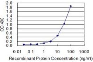 Sandwich ELISA detection sensitivity ranging from 1 ng/mL to 100 ng/mL. (GBP1 (Human) Matched Antibody Pair)